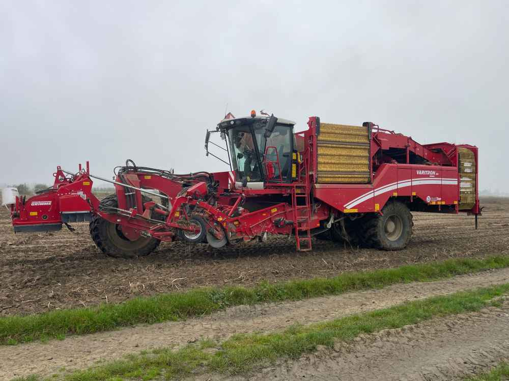 Grimme VARITRON 270 RS VARIO MULTISEP - Harvester: picture 1 Grimme VARITRON 270 RS VARIO MULTISEP - Harvester: picture 1