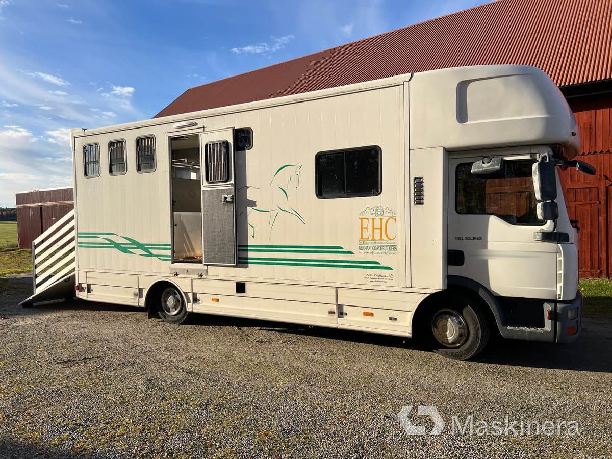 Hästlastbil MAN TGL 10.210 4X2 BL - Horse truck: picture 4 Hästlastbil MAN TGL 10.210 4X2 BL - Horse truck: picture 4