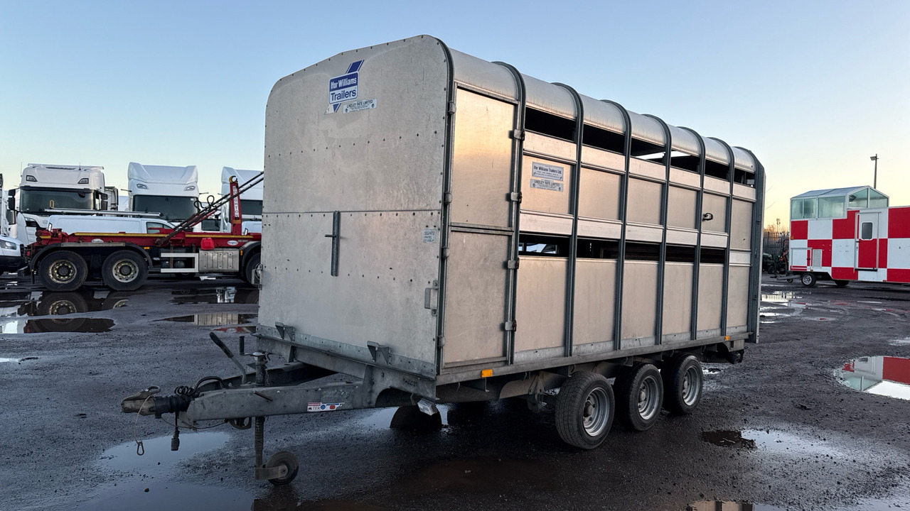 IFOR WILLIAMS DP120S3-4 - Livestock trailer: picture 3 IFOR WILLIAMS DP120S3-4 - Livestock trailer: picture 3