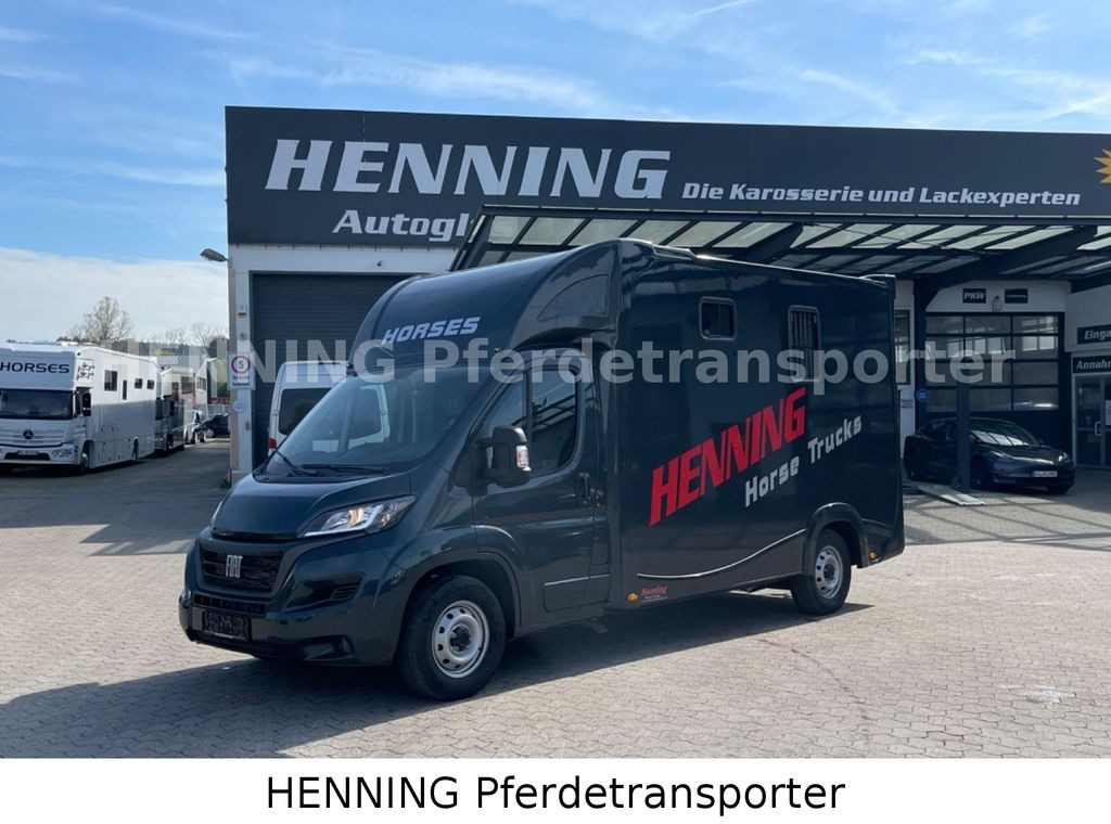 Fiat Ducato 3 - Sitzer *VORFÜHRUNGSFAHRZEUG* - Horse truck: picture 1 Fiat Ducato 3 - Sitzer *VORFÜHRUNGSFAHRZEUG* - Horse truck: picture 1