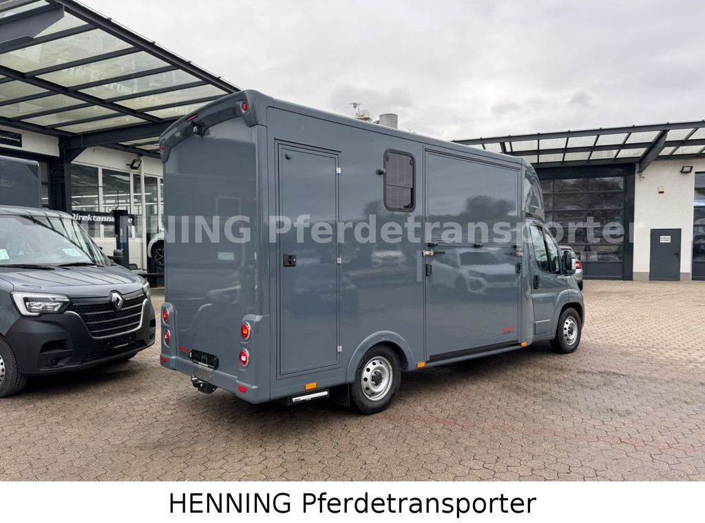 Fiat Ducato *NEUWAGEN* ca.1100 kg Nutzlast - Horse truck: picture 2 Fiat Ducato *NEUWAGEN* ca.1100 kg Nutzlast - Horse truck: picture 2