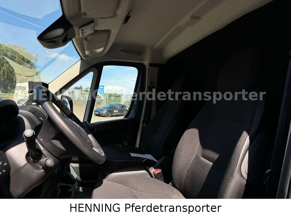 Lease a Opel Movano 3 - Sitzer *AUFBAU NEU*  Opel Movano 3 - Sitzer *AUFBAU NEU*: picture 11