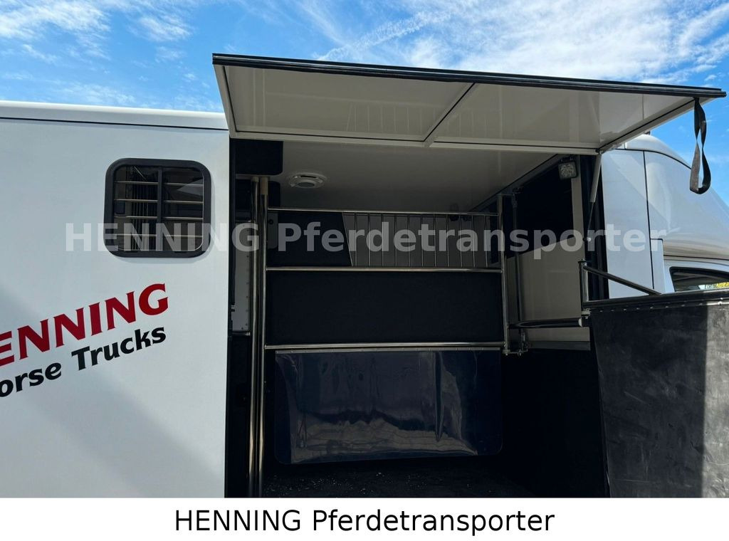 Volkswagen Crafter 3 - Sitzer *AUFBAU NEU* - Horse truck, Van: picture 5 Volkswagen Crafter 3 - Sitzer *AUFBAU NEU* - Horse truck, Van: picture 5