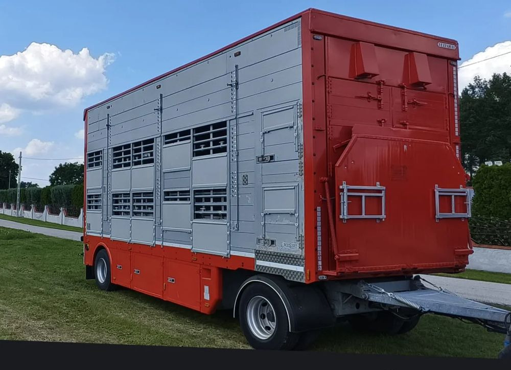 Pezzaioli RBA22 Dwuosiowa Przyczepa – 2x Bydło, 3x Trzoda – 2016r – Bezwypadkowa! - Livestock trailer: picture 2 Pezzaioli RBA22 Dwuosiowa Przyczepa – 2x Bydło, 3x Trzoda – 2016r – Bezwypadkowa! - Livestock trailer: picture 2