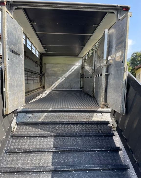 Livestock truck Scania P280 4x2 – Pojazd do przewozu zwierząt VIEHFAHRZEUG / jednopoziomowy – 171.000 km!! – Euro 5: picture 9 Livestock truck Scania P280 4x2 – Pojazd do przewozu zwierząt VIEHFAHRZEUG / jednopoziomowy – 171.000 km!! – Euro 5: picture 9