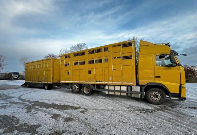 Volvo FH 420 • KABA • Transport Zwierząt 3xŚwinie/ 2xBydło 3-piętrowy • Euro 5 • Retarder • Oś podnoszona i skrętna - Livestock truck: picture 3 Volvo FH 420 • KABA • Transport Zwierząt 3xŚwinie/ 2xBydło 3-piętrowy • Euro 5 • Retarder • Oś podnoszona i skrętna - Livestock truck: picture 3