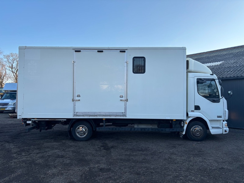 DAF LF 45.150 4 paards, laadlift. Horsetruck NL truck - Livestock truck: picture 4 DAF LF 45.150 4 paards, laadlift. Horsetruck NL truck - Livestock truck: picture 4