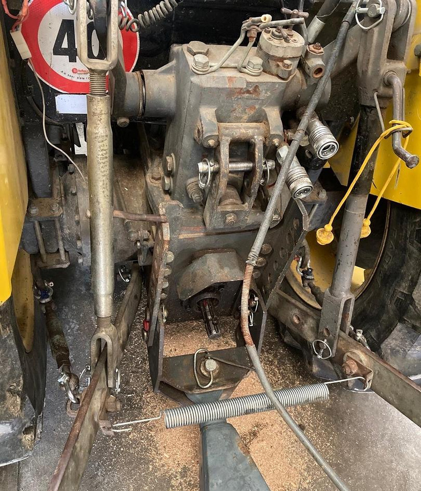 Trattore Pasquali 457 4RM - Farm tractor: picture 5 Trattore Pasquali 457 4RM - Farm tractor: picture 5