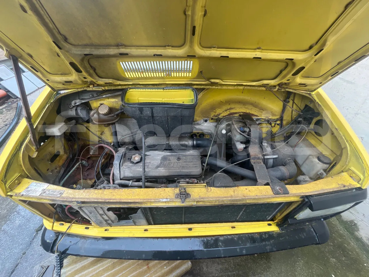 School bus Bundle di 4 mezzi Iveco - Cacciamali Fiat - Coriasco Iveco - Cacciamali Iveco - Cacciamali: picture 10