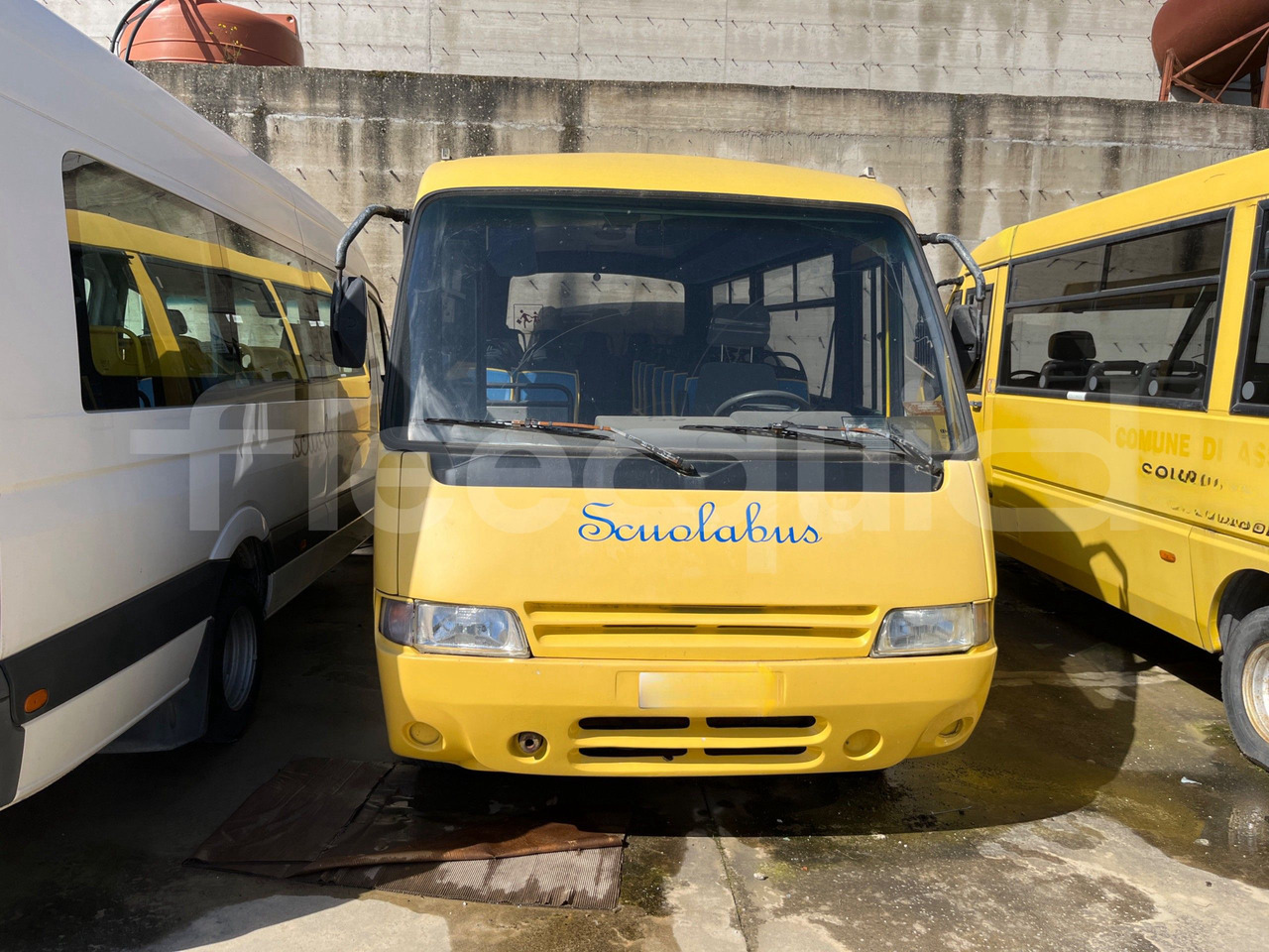 School bus Bundle di 4 mezzi Iveco - Cacciamali Fiat - Coriasco Iveco - Cacciamali Iveco - Cacciamali: picture 14
