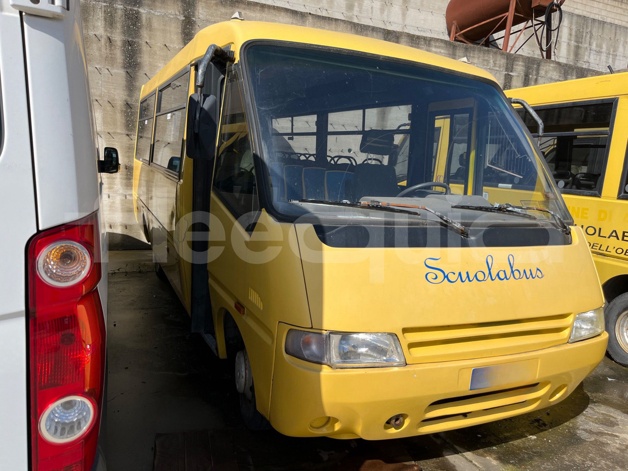School bus Bundle di 4 mezzi Iveco - Cacciamali Fiat - Coriasco Iveco - Cacciamali Iveco - Cacciamali: picture 15