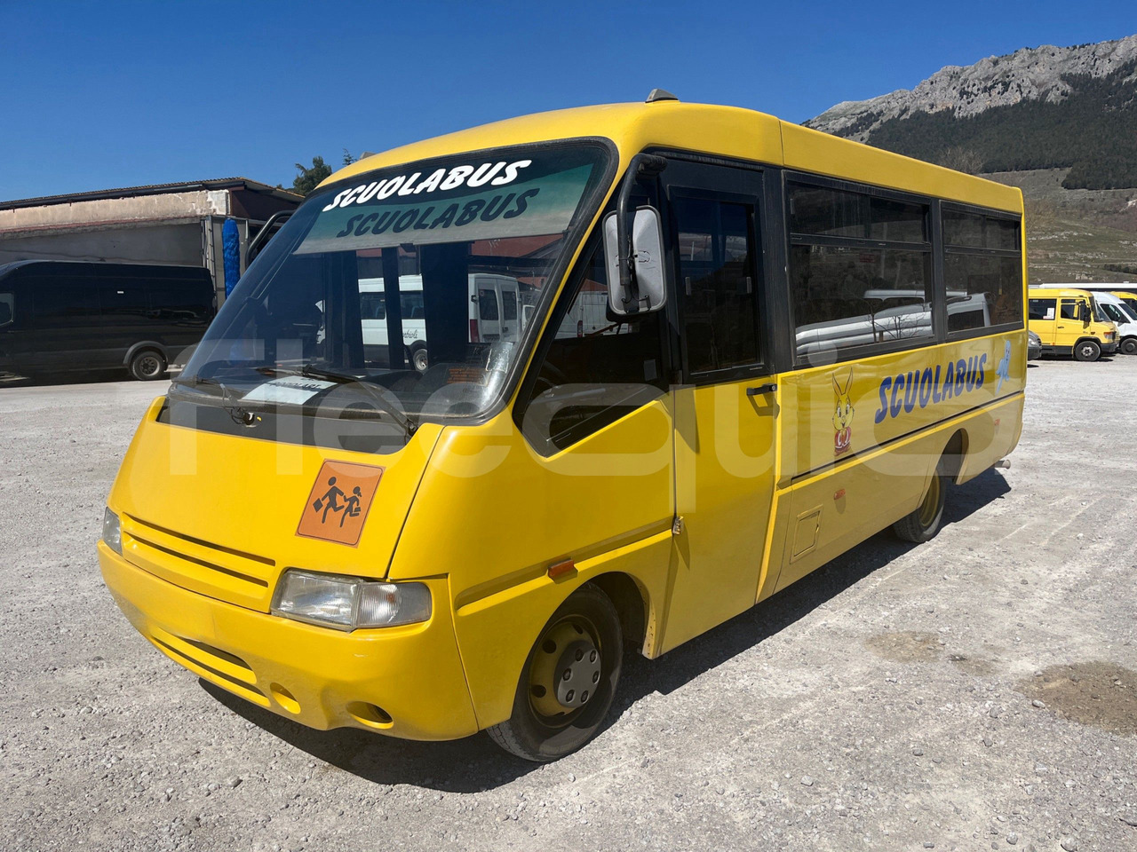 Iveco Cacciamali - School bus: picture 4 Iveco Cacciamali - School bus: picture 4