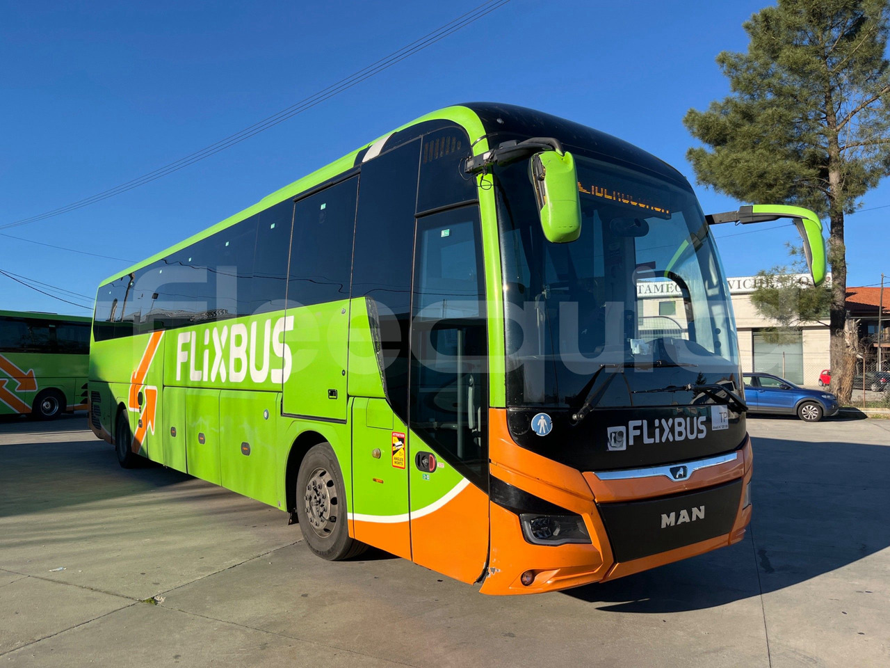 Man Lion's Coach - Coach: picture 1 Man Lion's Coach - Coach: picture 1