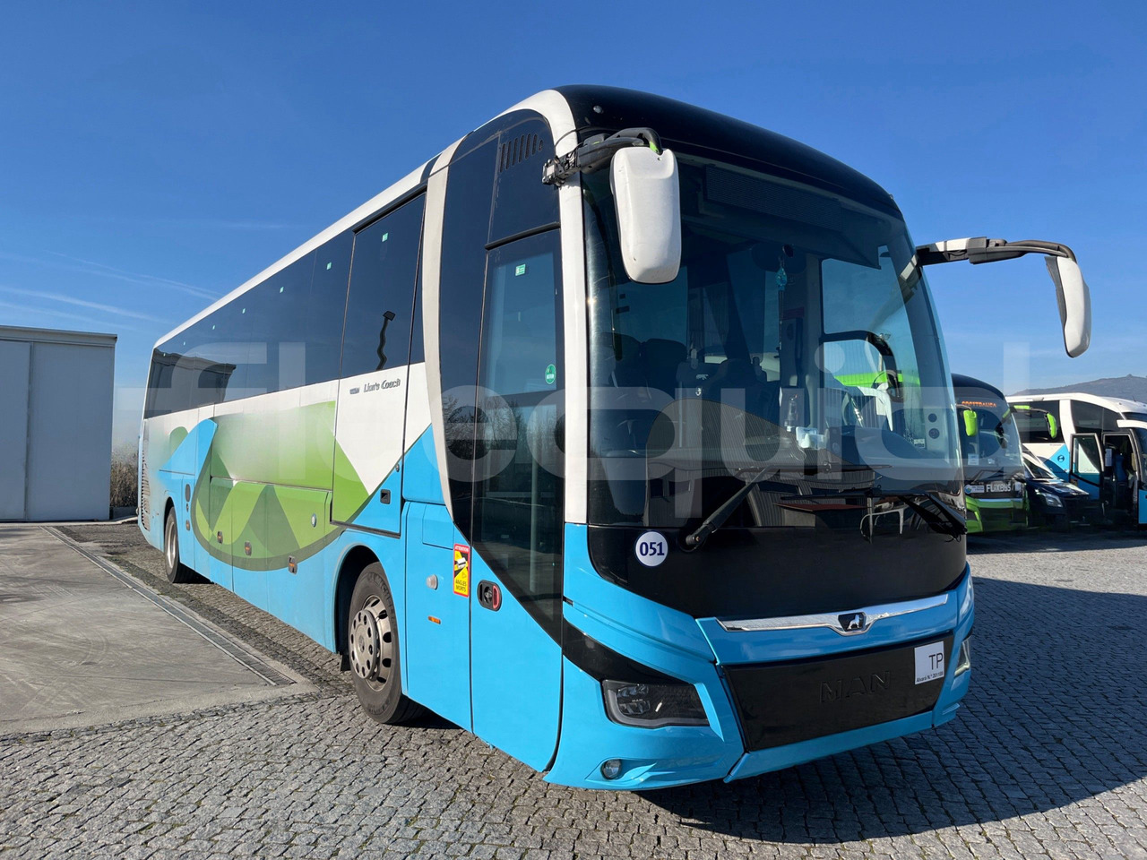Man Lion's Coach - Coach: picture 1 Man Lion's Coach - Coach: picture 1