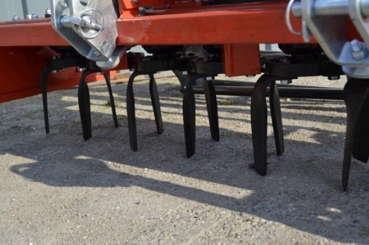 - - - boxer - Harrow: picture 4 - - - boxer - Harrow: picture 4