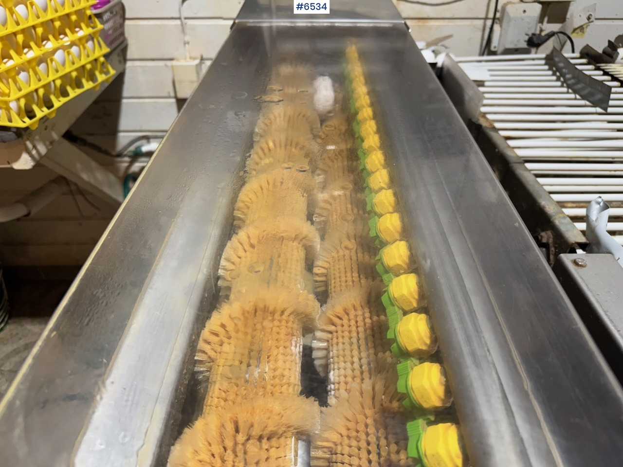 2021 Mach-C Offline S Egg Washer. - Livestock equipment: picture 4 2021 Mach-C Offline S Egg Washer. - Livestock equipment: picture 4