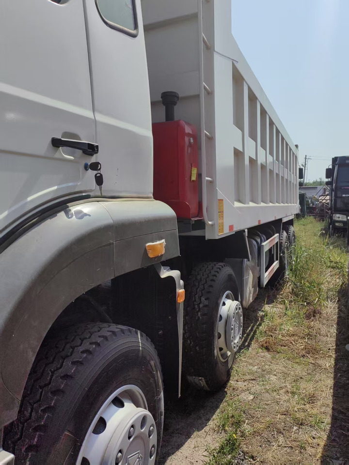 Tipper howo HOWO 8X4 dump truck for sale: picture 6