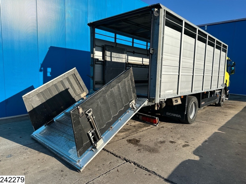 Scania P 320 EURO 5, Manual transmission, Retarder - Livestock truck: picture 4 Scania P 320 EURO 5, Manual transmission, Retarder - Livestock truck: picture 4