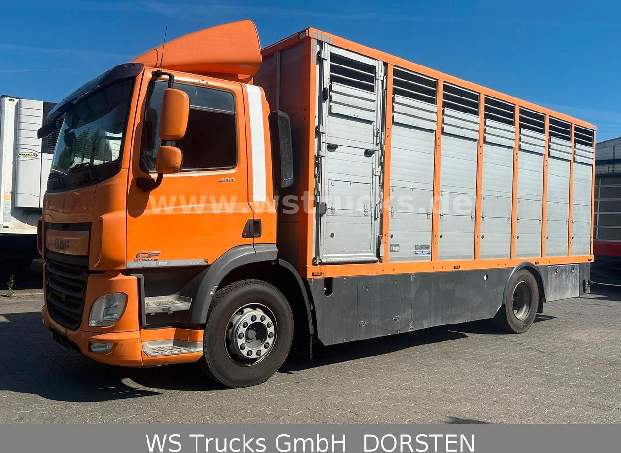 DAF CF 400 Menke Einstock - Horse truck: picture 1 DAF CF 400 Menke Einstock - Horse truck: picture 1