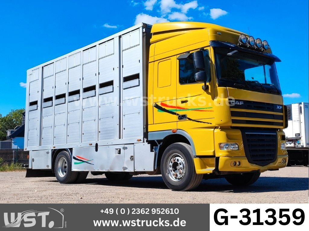 DAF XF 410 SC Menke Doppelstock - Horse truck: picture 1 DAF XF 410 SC Menke Doppelstock - Horse truck: picture 1