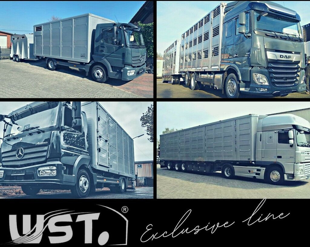 Horse truck Volvo FM 260 mit KABA 2 Stock Vollalu: picture 22