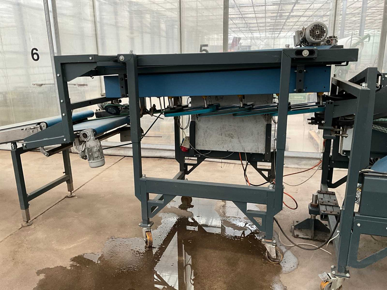 Havatec Quality Buncher 1.0 - Post-harvest equipment: picture 3 Havatec Quality Buncher 1.0 - Post-harvest equipment: picture 3