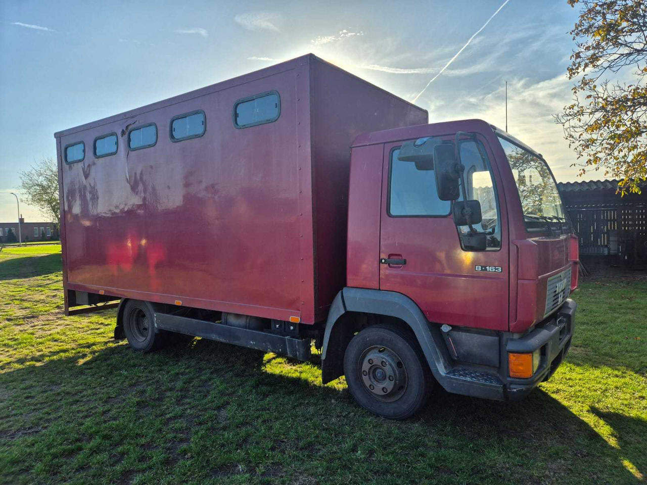 MAN L 75F HORSE TRAILER 1994 - Truck: picture 3 MAN L 75F HORSE TRAILER 1994 - Truck: picture 3