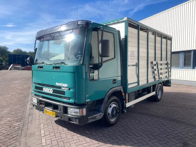 Iveco EuroCargo 65 FULL STEEL / MANUAL-GEAR - Cab chassis truck: picture 3 Iveco EuroCargo 65 FULL STEEL / MANUAL-GEAR - Cab chassis truck: picture 3