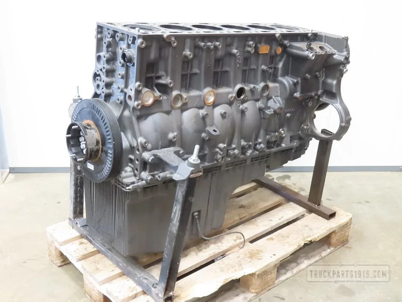 DAF Engines & Parts Motorblok DAF MX11 - Engine for Truck: picture 1 DAF Engines & Parts Motorblok DAF MX11 - Engine for Truck: picture 1