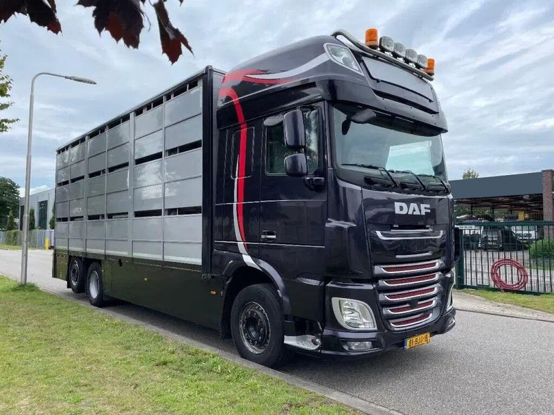 DAF XF 460 - Animal transporter - Livestock truck: picture 2 DAF XF 460 - Animal transporter - Livestock truck: picture 2
