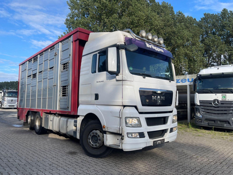 MAN TGX 26.400 6x2-2 LL 3 Stück Finkl Hubdach - Livestock truck: picture 5 MAN TGX 26.400 6x2-2 LL 3 Stück Finkl Hubdach - Livestock truck: picture 5