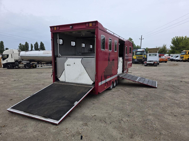 VELDHUIZEN P27-3 BE Horse Transporter semi trailer - Autotransporter semi-trailer: picture 3 VELDHUIZEN P27-3 BE Horse Transporter semi trailer - Autotransporter semi-trailer: picture 3