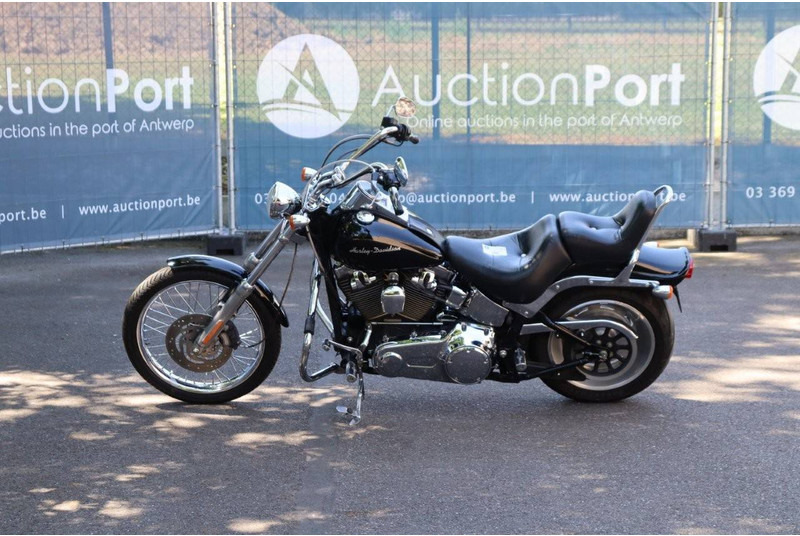 Harley-Davidson Softail Custom - Motorcycle: picture 2 Harley-Davidson Softail Custom - Motorcycle: picture 2