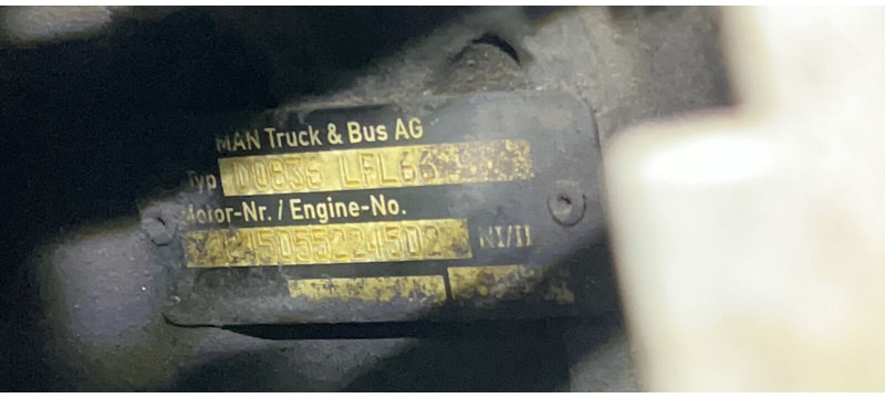 MAN D0836 LFL66 - Engine: picture 2 MAN D0836 LFL66 - Engine: picture 2